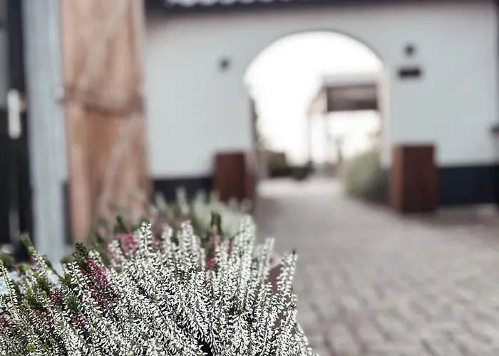 Betuwsch Badhuys לינה וארוחת בוקר